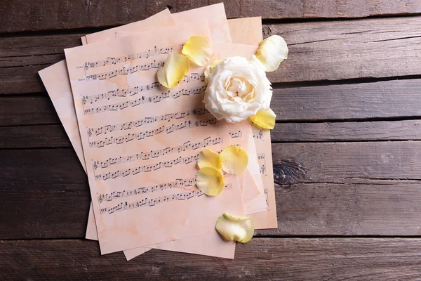 Beautiful rose on music sheets — Stock Photo, Image