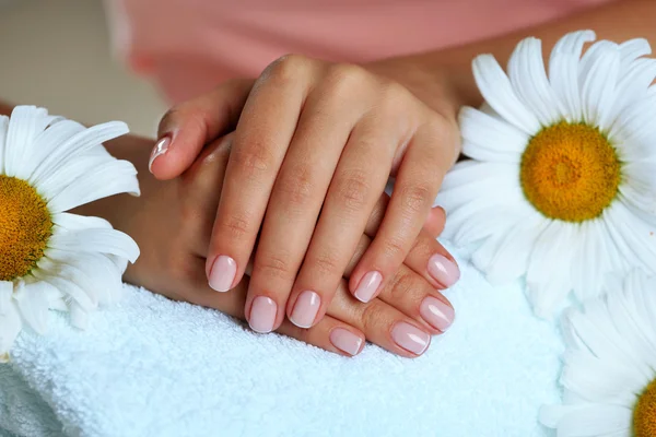 Woman hands with french manicure and chamomile on towel close-up — Stock Photo, Image