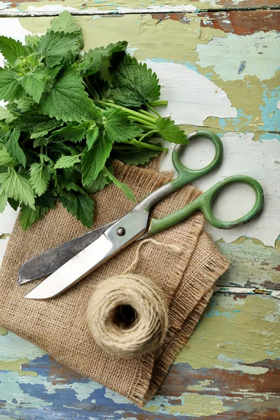 Leaves of lemon balm with rope — Stock Photo, Image