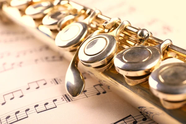 Silver flute on music notes — Stock Photo, Image