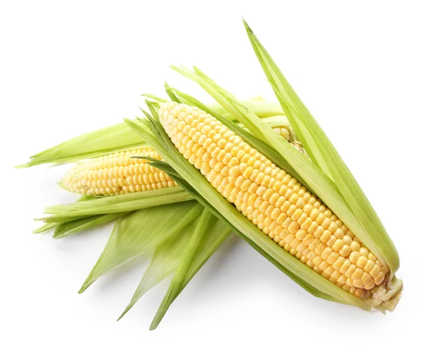 Frischer Mais auf Kolben — Stockfoto