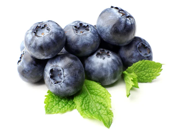 Fresh blueberries with mint leaves — Stock Photo, Image