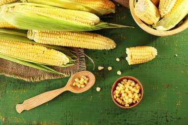 Koçanlarda taze mısır.