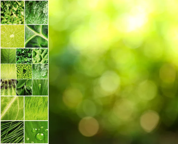 Beautiful nature collage — Stockfoto