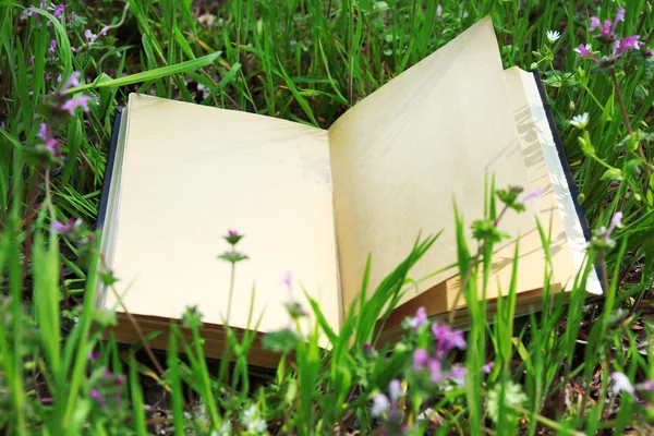 Opened book on green grass — Stock Photo, Image