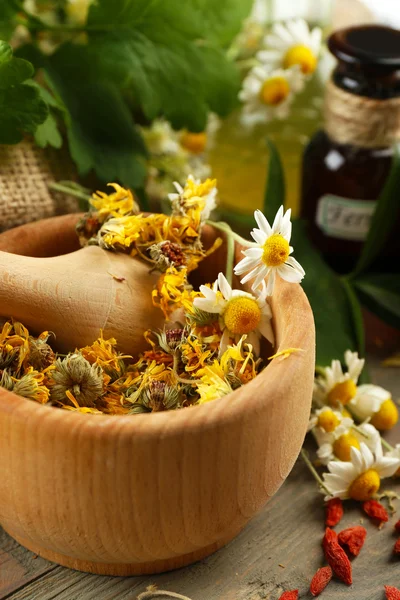 Herbs, berries and flowers — Stock Photo, Image