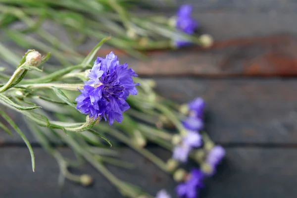 Blommor på träbord, närbild — Stockfoto