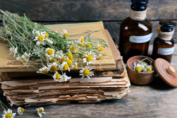 Books with dry flowers and bottles — Stock Photo, Image