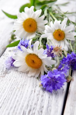 Ahşap masa, closeup üzerinde taze kır çiçekleri