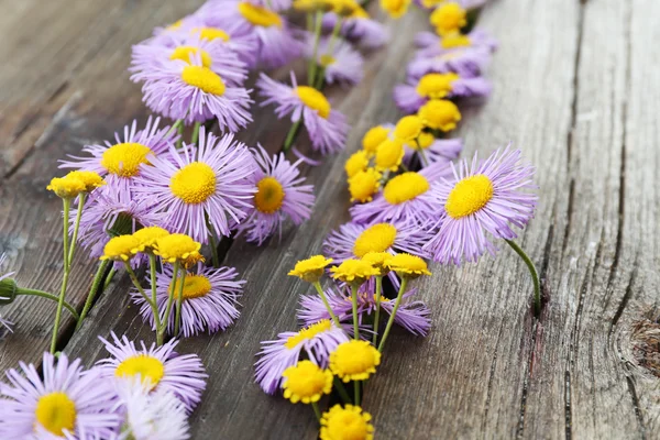 Ahşap arka plan üzerinde güzel küçük kır çiçekleri — Stok fotoğraf