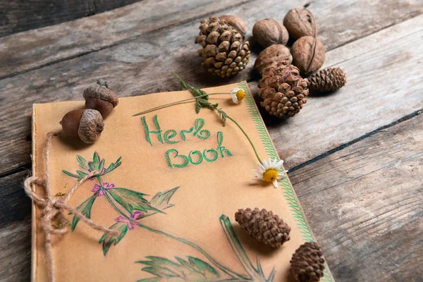 Oud boek met kegels en noten op tafel close-up — Stockfoto