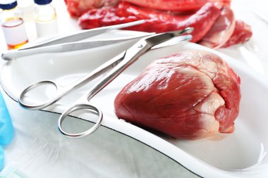 Kalp organ içinde tıbbi metal tepsi