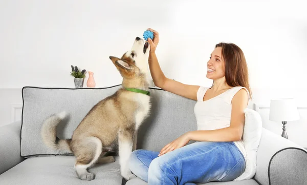 Mulher brincando com cão malamute no sofá — Fotografia de Stock