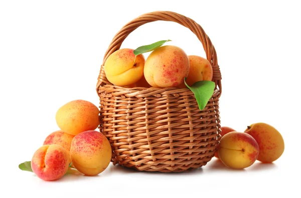 Ripe apricots in wicker basket — Stock Photo, Image