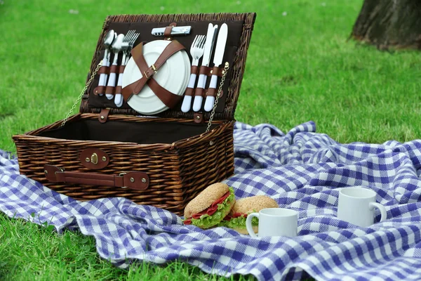 Flätade picknickkorg, läckra smörgåsar, tekoppar och pläd på grönt gräs, utomhus — Stockfoto