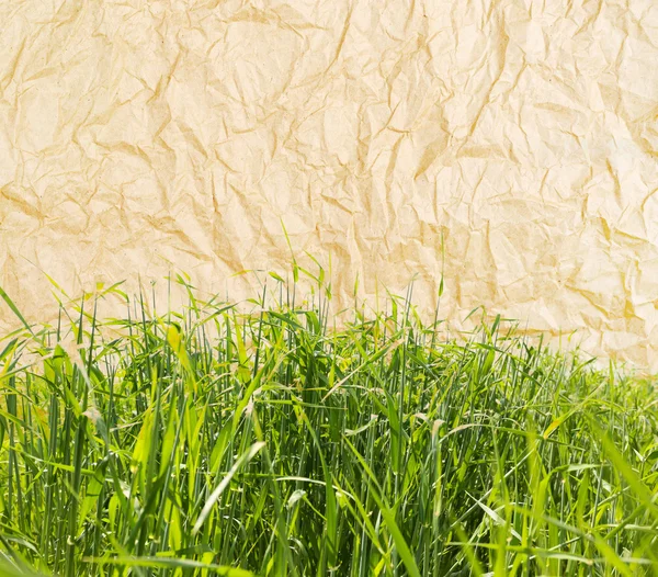 Grönt fält på gamla papper bakgrund — Stockfoto