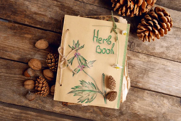 Old book with cones and nuts — Stock Photo, Image