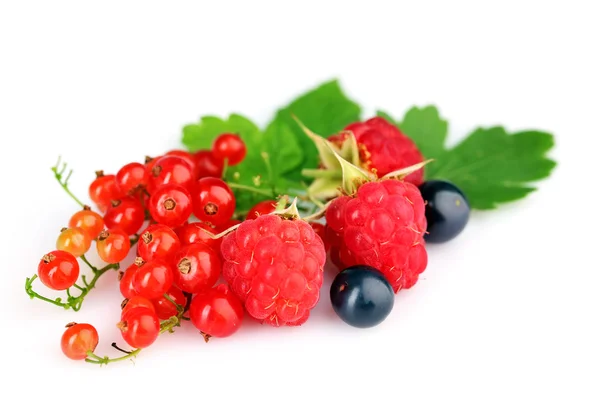 Heap of fresh berries with green leave — Stock Photo, Image