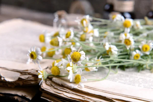 Vieux livre avec des fleurs sèches — Photo