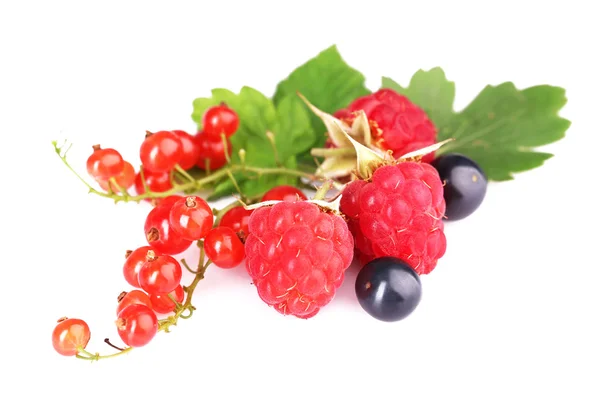 Haufen frischer Beeren mit grünem Blatt isoliert auf weißem — Stockfoto