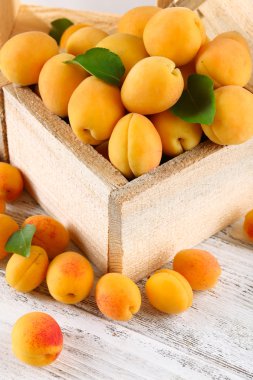 Sandık içinde olgun kayısı