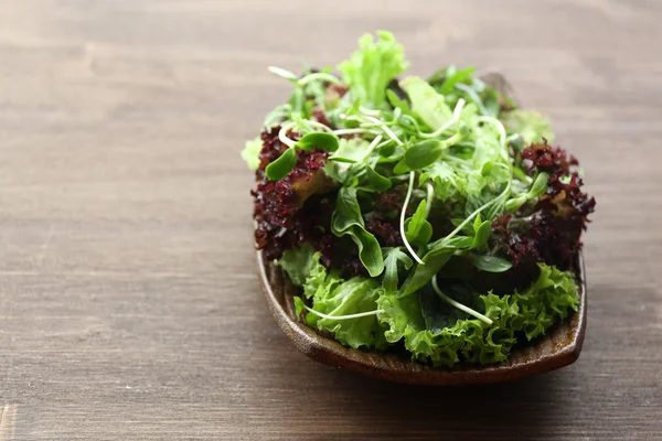 Tabak taze karışık yeşil salata — Stok fotoğraf