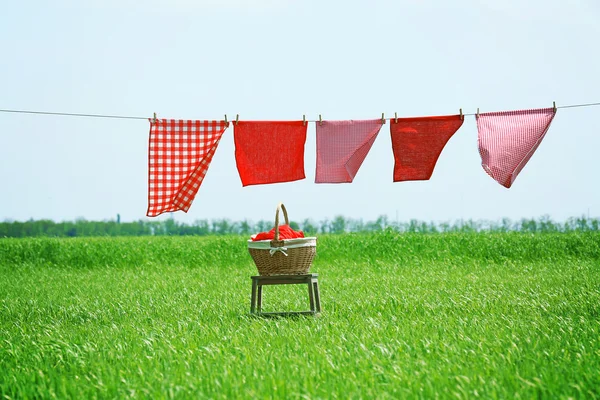 Linea di lavanderia con vestiti in campo — Foto Stock