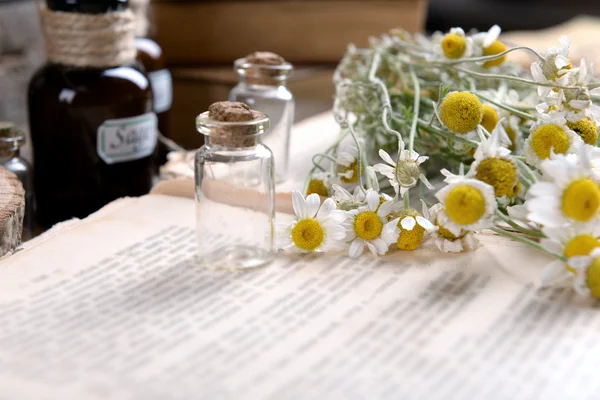 Vieux livre avec des fleurs sèches — Photo