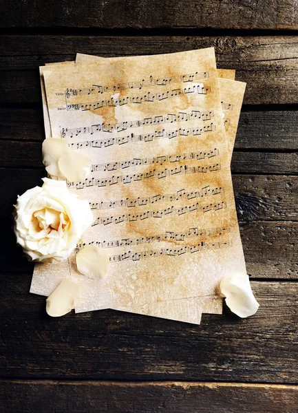 Belle rose sur les feuilles de musique — Photo