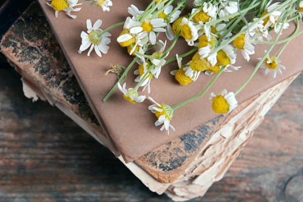 Vieux livre avec des fleurs sèches — Photo