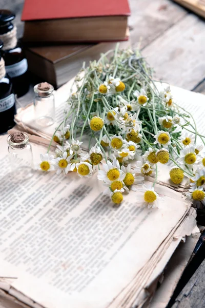 Oud boek met droge bloemen — Stockfoto