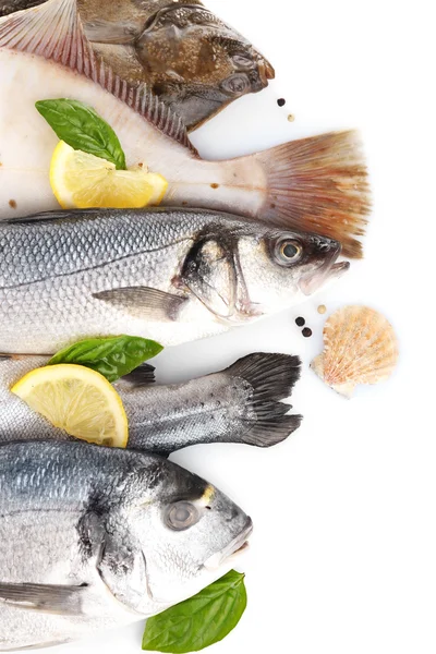 Čerstvé ryby a krevety s kořením zblízka — Stock fotografie