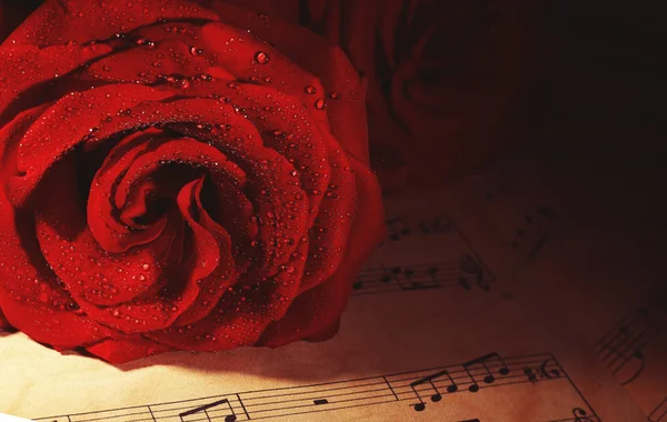 Beautiful red roses on music sheets — Stock Photo, Image