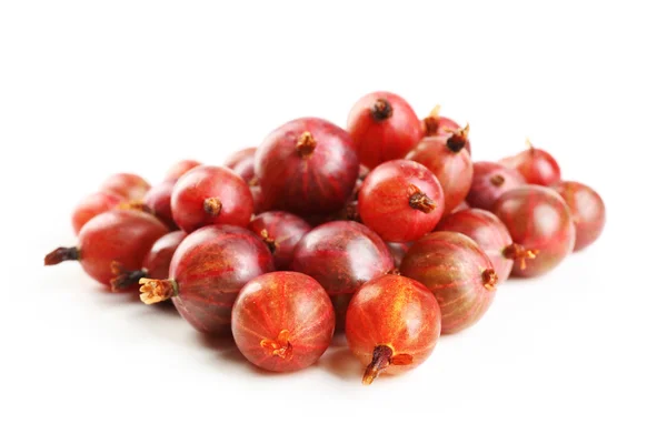 Beyaz izole kırmızı bektaşi üzümü — Stok fotoğraf