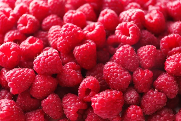 Heap of sweet red raspberries Royalty Free Stock Images