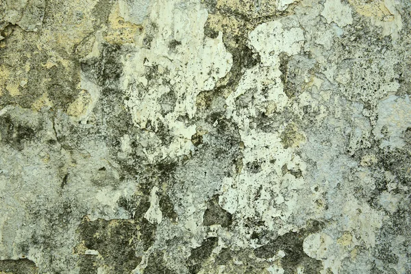 Çimento duvar dokusu — Stok fotoğraf