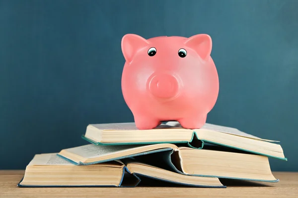 Banco porquinho com livros — Fotografia de Stock