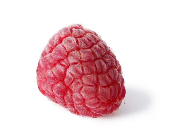 赤い甘いラズベリー — ストック写真
