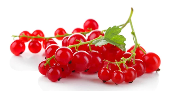 Branch of red currant with green leaf — Stock Photo, Image