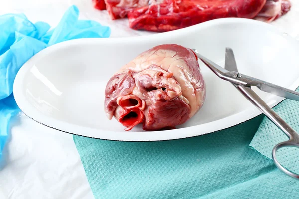 Heart organ in medical metal tray — Stock Photo, Image