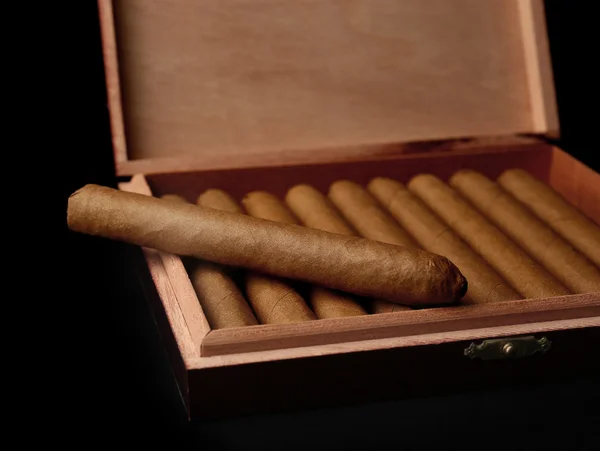 Cigars in box on black background — Stock Photo, Image