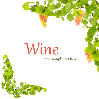 Çerçeve üzerinde beyaz izole yeşil yaprakları ile üzüm şube