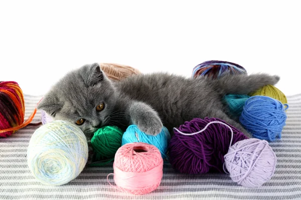 Leuk grijze katje met kleurrijke ballen van draad op gestreepte tapijt geïsoleerd op wit — Stockfoto