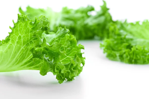 Fresh lettuce, closeup — Stock Photo, Image