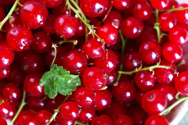 Heap of fresh red currants close up — Stock Photo, Image