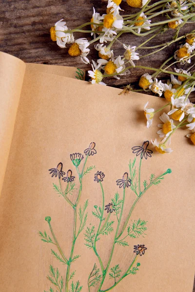 Livro velho com flores secas na mesa de perto — Fotografia de Stock