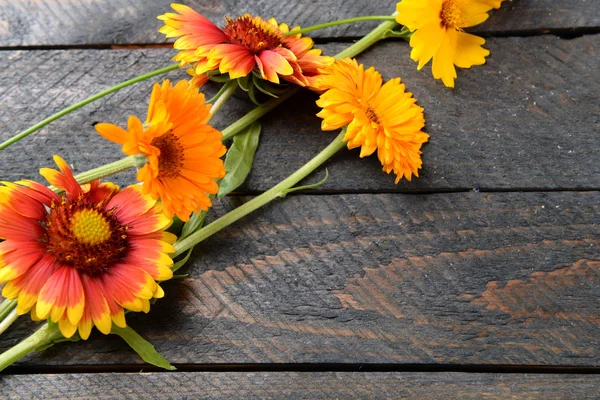 Heldere wilde bloemen op houten achtergrond — Stockfoto