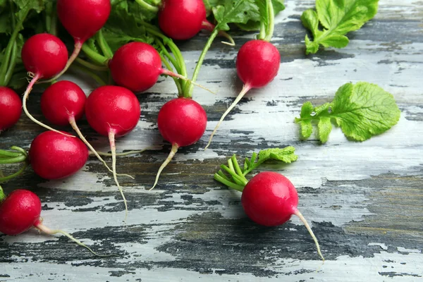 Taze kırmızı turp — Stok fotoğraf