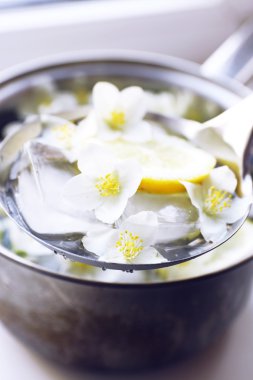 Soğuk ferahlatıcı yaz içeceği