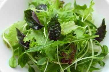 Kase taze karışık yeşil salata yakın çekim